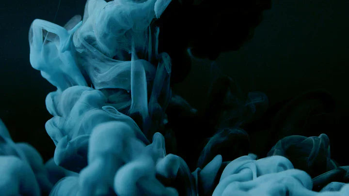 Holen Sie sich diesen Winter den Zürcher Chic in Ihren Kleiderschrank